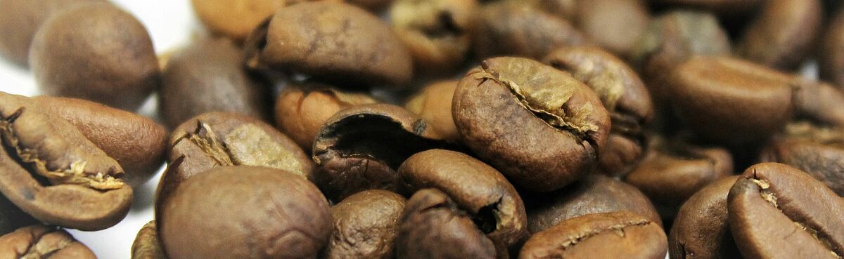 Analysis during coffee roasting